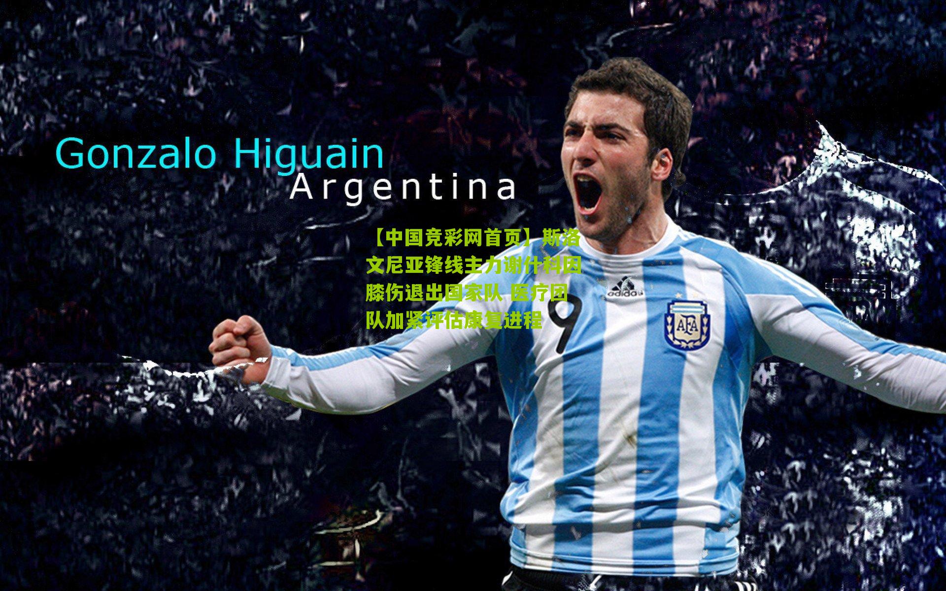 斯洛文尼亚锋线主力谢什科因膝伤退出国家队 医疗团队加紧评估康复进程