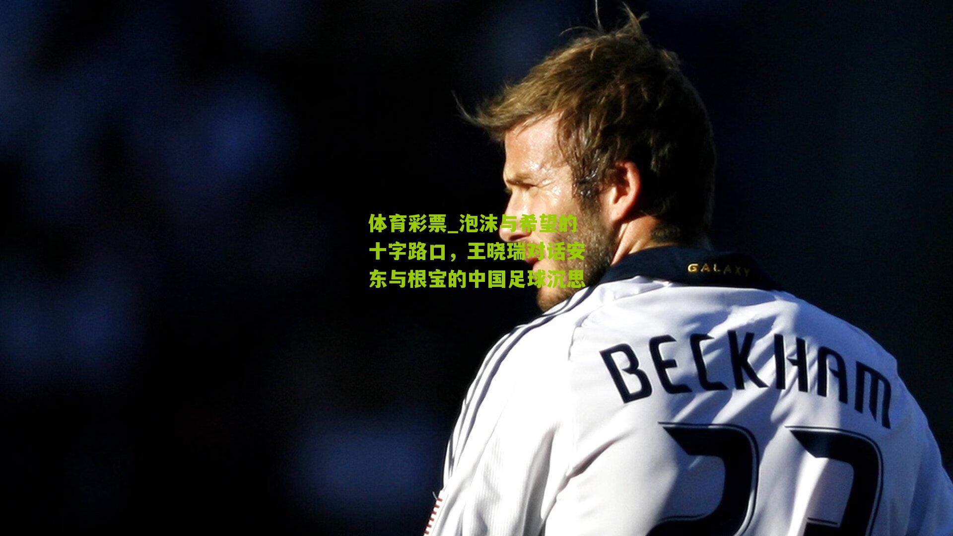 体育彩票_泡沫与希望的十字路口，王晓瑞对话安东与根宝的中国足球沉思