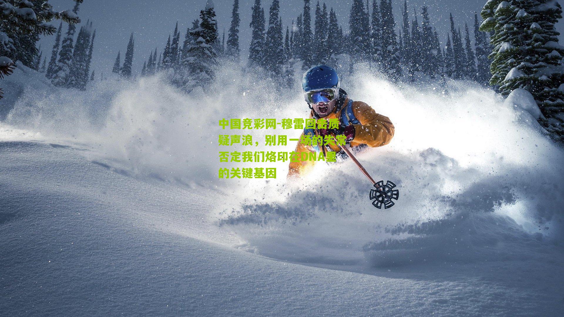 穆雷回击质疑声浪，别用一场的失常否定我们烙印在DNA里的关键基因