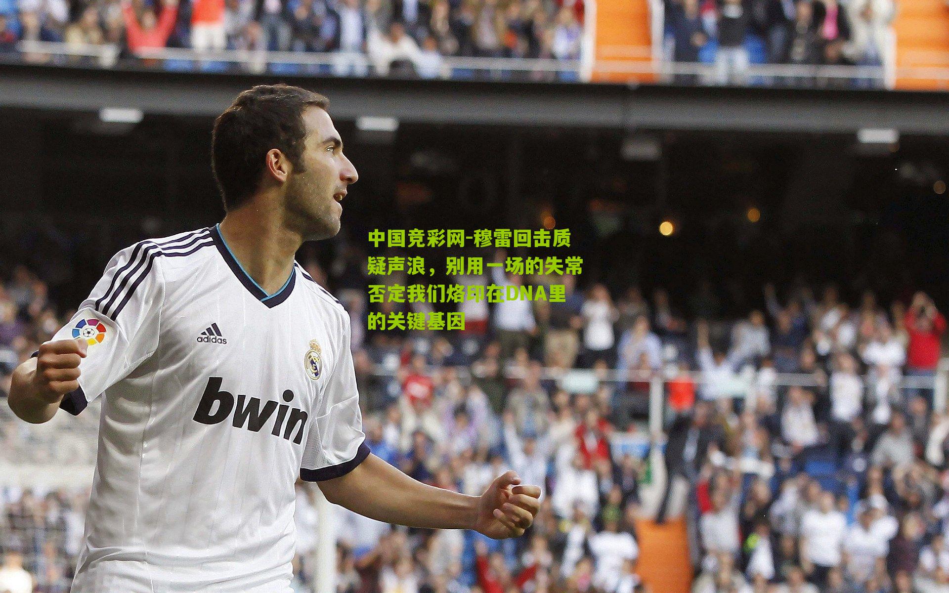穆雷回击质疑声浪，别用一场的失常否定我们烙印在DNA里的关键基因