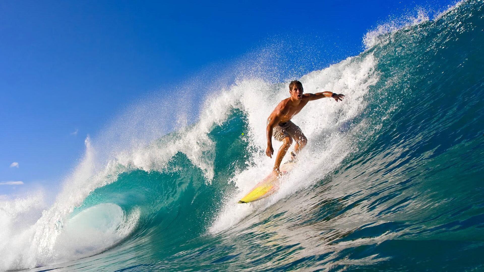 电竞新王加冕,情久战队勇夺TGA2016穿越火线项目团队冠军荣耀